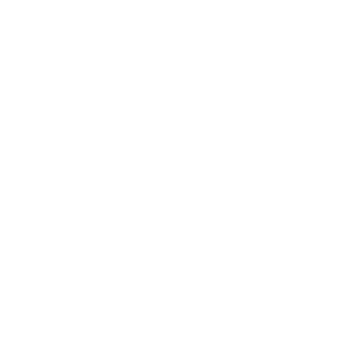 Aedes